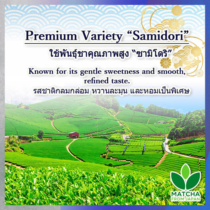 NAMI Matcha 1kg | มัทฉะอุจิ 100% จากเกียวโต | รสบาลานซ์ ใช้งานได้หลากหลาย | ส่งตรงจากญี่ปุ่น