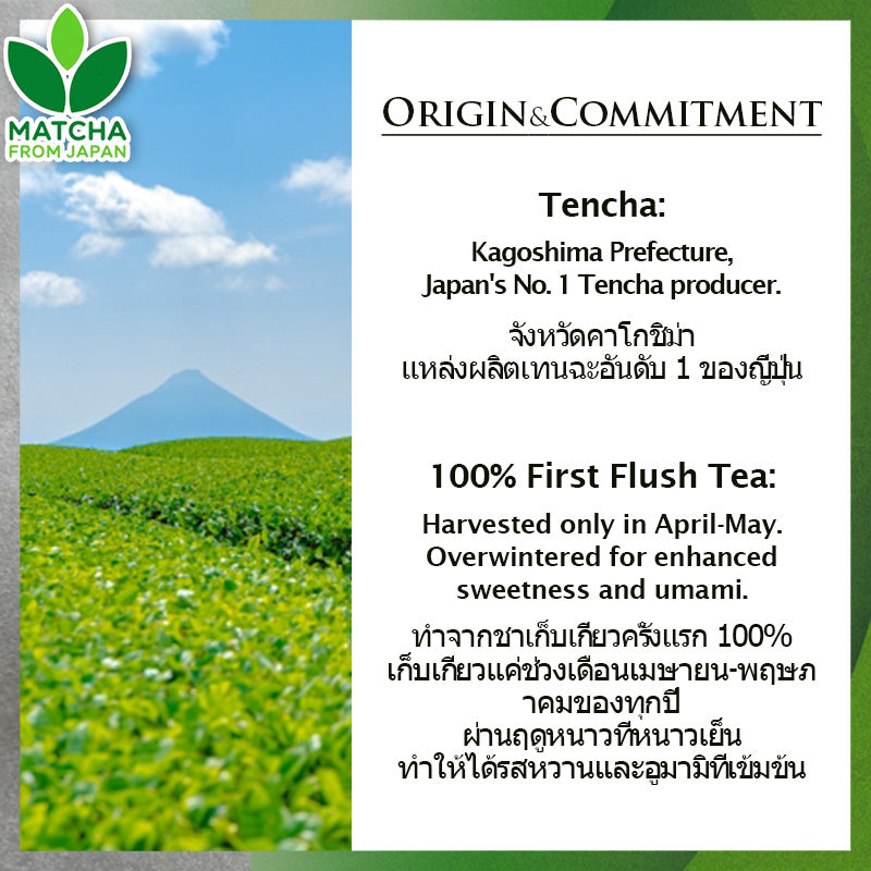 Kagoshima Matcha 5kg มัทฉะ [คิวามิอิจิบันฉะ 100%] Ceremonial Grade จากคาโกชิมะ ผลิตในญี่ปุ่น ไร้สารเติมแต่ง